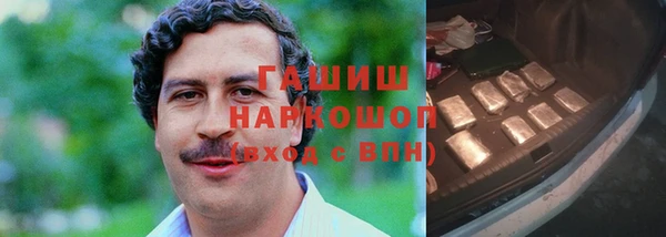 гидра Алексин