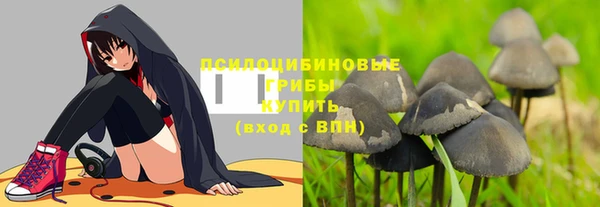 индика Абдулино