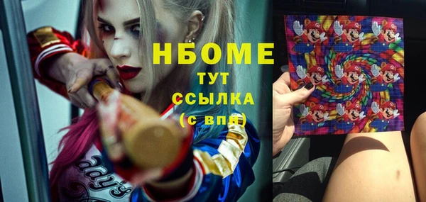 стафф Алзамай