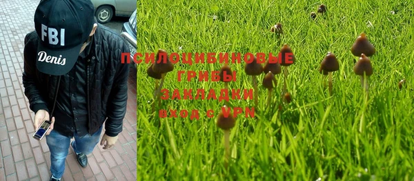 индика Абдулино