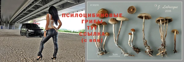 apvp Алексеевка