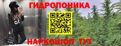 ПСИЛОЦИБИНОВЫЕ ГРИБЫ Тверь