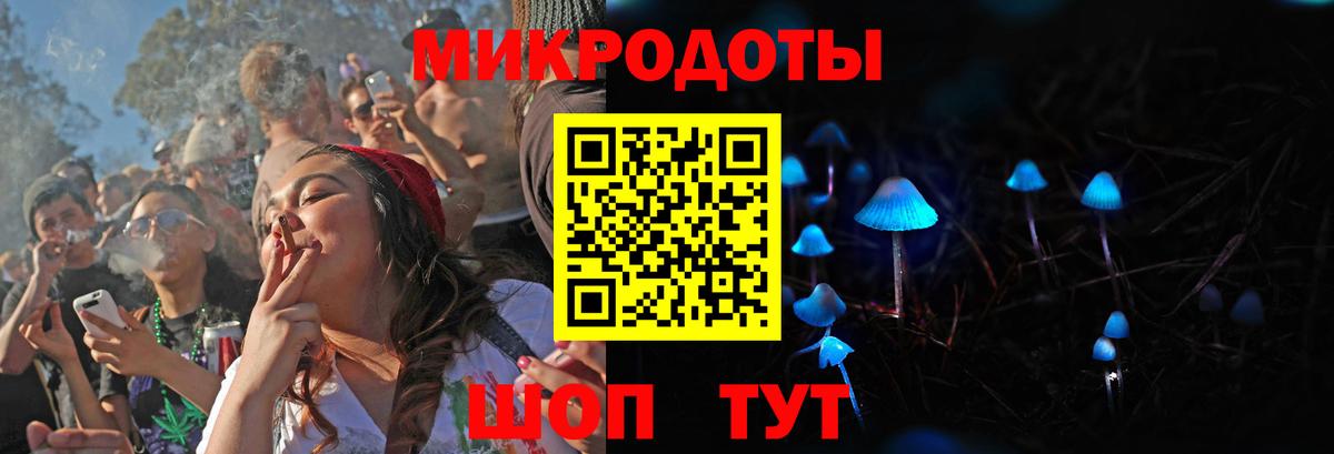 Псилоцибиновые грибы Psilocybine cubensis Ухта