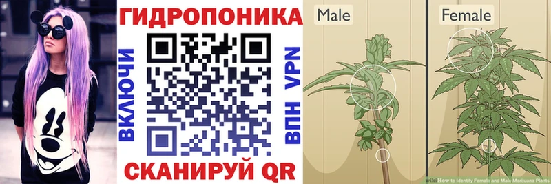 Шишки марихуана индика  где купить   Ухта 